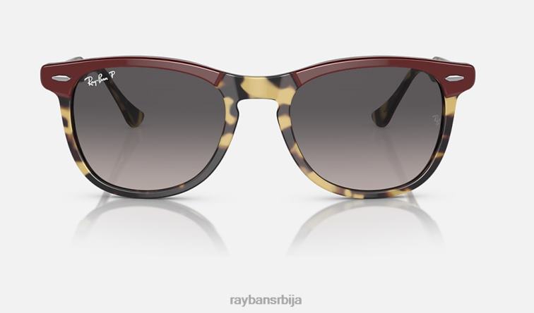 Ray-Ban око соколово P0HP251 наочаре за сунце полирани бордо на жутој хавана/сивој мушкарци